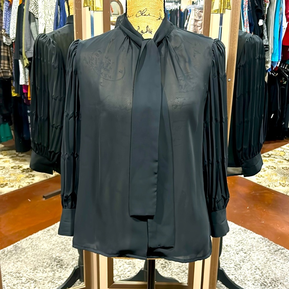 Vintage Pierre Lamonte blouses size medium.